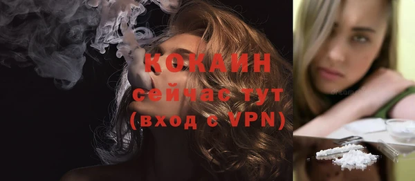 не бодяженный Бородино