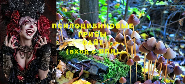 альфа пвп Беломорск