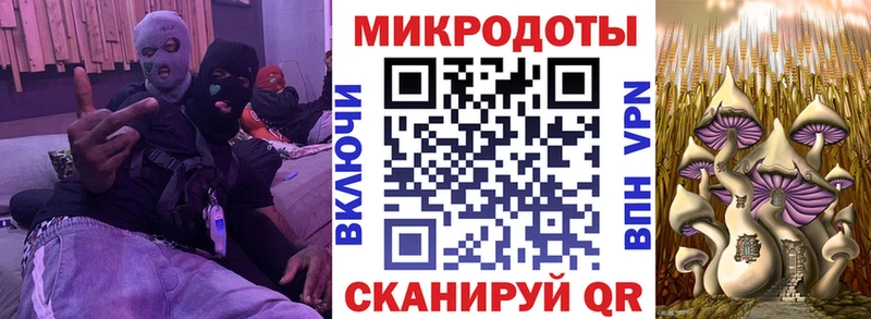 mega онион  Дальнегорск  Псилоцибиновые грибы прущие грибы 